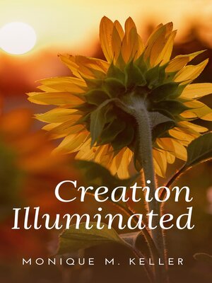 cover image of Creation Illuminated